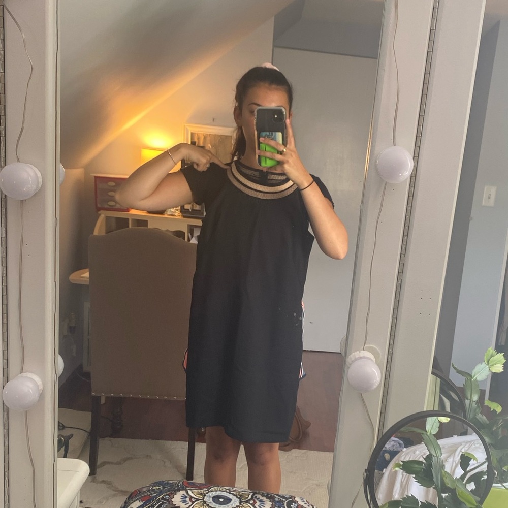 Petite Ann Taylor Dress